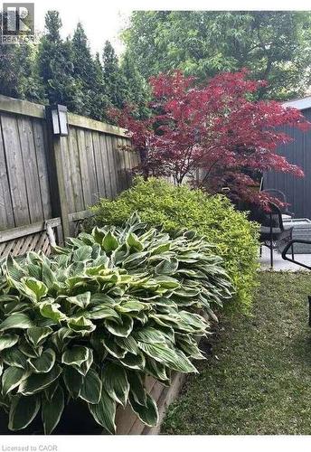 735 Beach Boulevard, Hamilton, ON - Outdoor