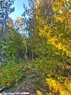 L17C8 Evergreen Drive Spring Bay, ON P0P 2B0