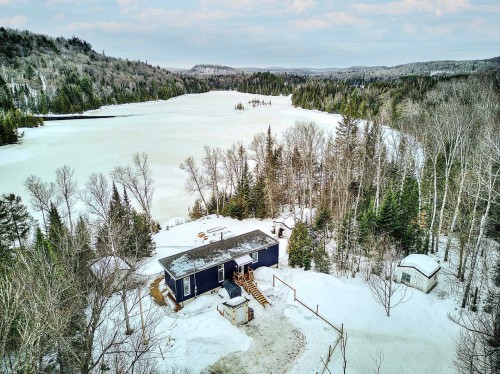 Vue d'ensemble - 103 Ch. Baumann, Lac-Saguay, QC - Outdoor With View