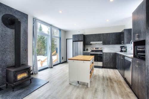 Cuisine - 103 Ch. Baumann, Lac-Saguay, QC - Indoor Photo Showing Kitchen With Upgraded Kitchen