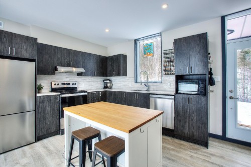 Cuisine - 103 Ch. Baumann, Lac-Saguay, QC - Indoor Photo Showing Kitchen