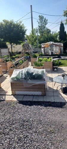 Autre - 170 Rue St-Joseph, Sainte-Anne-Des-Plaines, QC - Outdoor