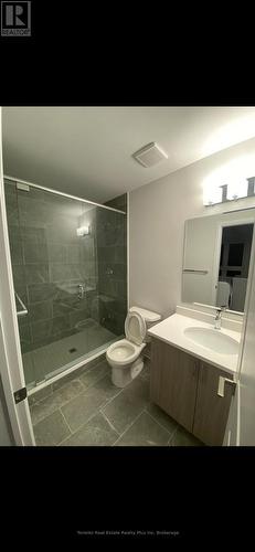 10 - 51 Sparrow Avenue, Cambridge, ON - Indoor Photo Showing Bathroom