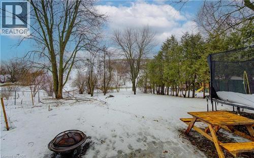 Snowy yard with a trampoline - 98 Shea Crescent, Kitchener, ON - Outdoor