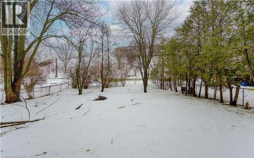 View of snowy yard - 98 Shea Crescent, Kitchener, ON - Outdoor