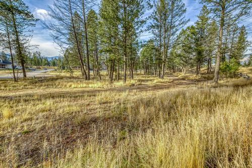 Pedley Heights Drive, Windermere, BC - Outdoor With View