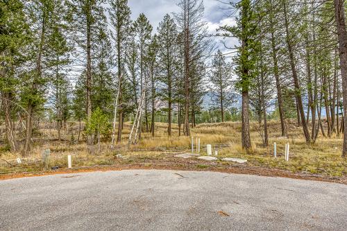 Pedley Heights Drive, Windermere, BC - Outdoor With View