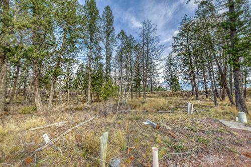 Pedley Heights Drive, Windermere, BC - Outdoor With View