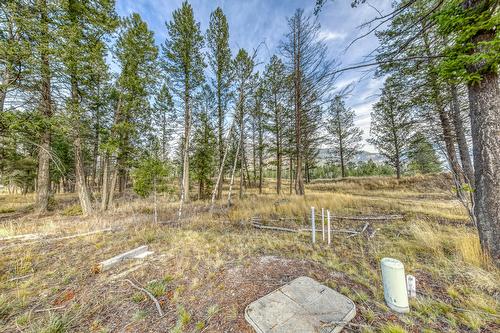 Pedley Heights Drive, Windermere, BC - Outdoor With View