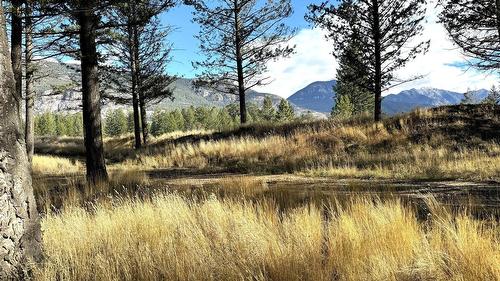 Pedley Heights Drive, Windermere, BC - Outdoor With View