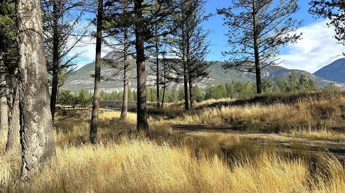 Pedley Heights Drive, Windermere, BC - Outdoor With View