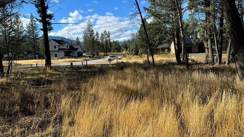 Pedley Heights Drive, Windermere, BC - Outdoor
