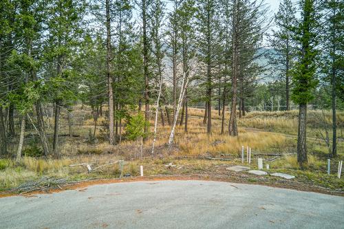 Pedley Heights Drive, Windermere, BC - Outdoor With View