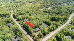 Aerial View - 