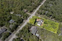 Aerial View - 