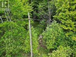 1-22342 EAST ROAD  Parry Sound Remote Area (East Mills), ON P0H 1S0