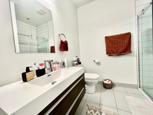 Bathroom - 213-1155 Rue De La Montagne, Montréal (Ville-Marie), QC - Indoor Photo Showing Bathroom