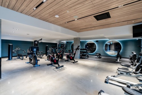 Salle d'exercice - 506-7227 Boul. Newman, Montréal (Lasalle), QC - Indoor Photo Showing Gym Room