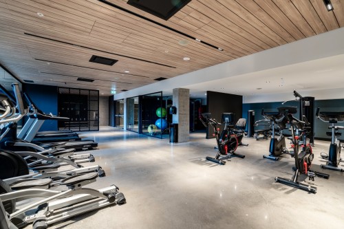 Salle d'exercice - 506-7227 Boul. Newman, Montréal (Lasalle), QC - Indoor Photo Showing Gym Room