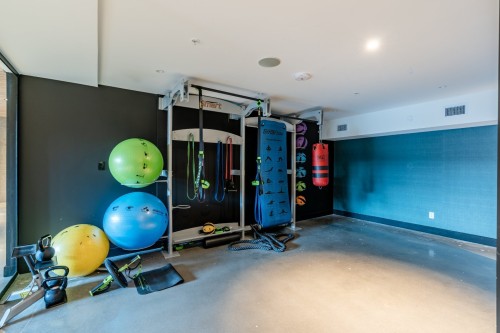 Salle d'exercice - 506-7227 Boul. Newman, Montréal (Lasalle), QC - Indoor