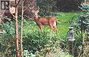 1987 Snake Road, Burlington, ON  - Outdoor 