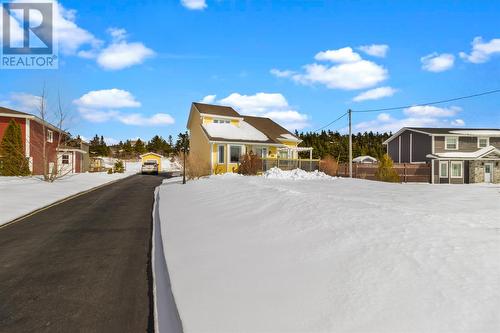 17 Acharya Drive  Paradise, NL A1L 2S9