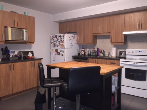 Other - 3283  - 3289 Rue Hochelaga, Montréal (Mercier/Hochelaga-Maisonneuve), QC - Indoor Photo Showing Kitchen