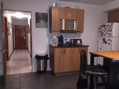 Other - 3283  - 3289 Rue Hochelaga, Montréal (Mercier/Hochelaga-Maisonneuve), QC - Indoor Photo Showing Other Room