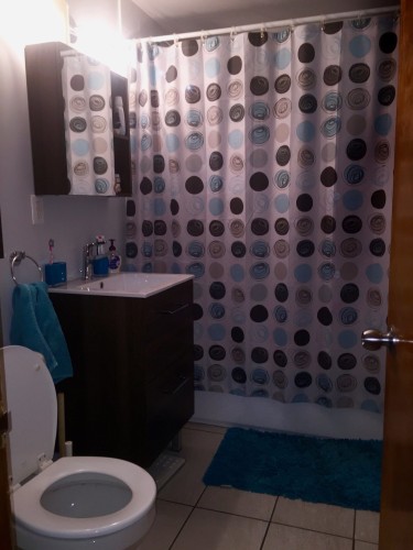 Other - 3283  - 3289 Rue Hochelaga, Montréal (Mercier/Hochelaga-Maisonneuve), QC - Indoor Photo Showing Bathroom