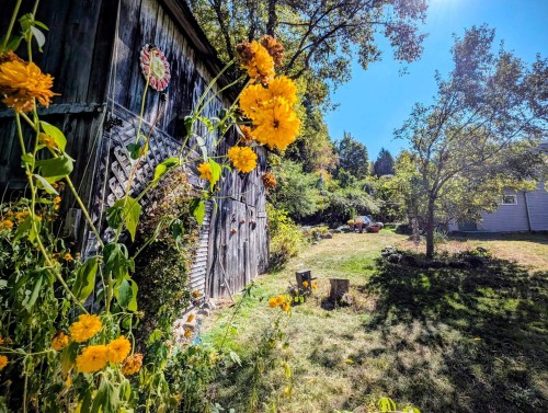 Remise - 5 Rue Lapierre, Saint-André-D'Argenteuil, QC - Outdoor