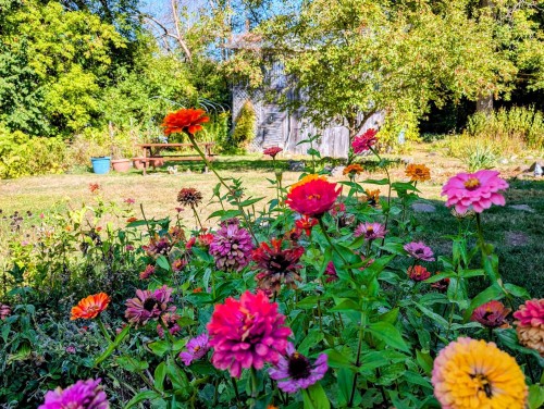 Cour - 5 Rue Lapierre, Saint-André-D'Argenteuil, QC - Outdoor