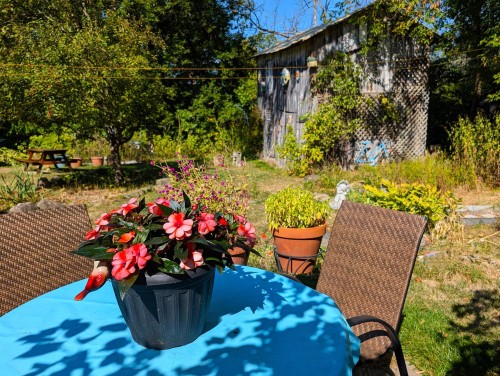 Cour - 5 Rue Lapierre, Saint-André-D'Argenteuil, QC - Outdoor