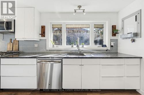 18 Cherry Street, Halton Hills, ON - Indoor Photo Showing Kitchen With Upgraded Kitchen
