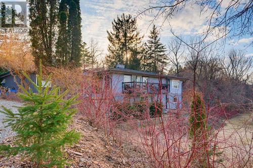 View from walkout basement - 18 Cherry Street, Halton Hills, ON - Outdoor
