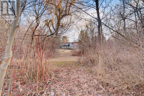 18 Cherry Street, Halton Hills, ON - Outdoor With View