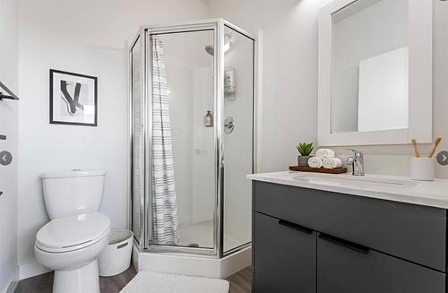 1041 Rosemount Avenue, Winnipeg, MB - Indoor Photo Showing Bathroom