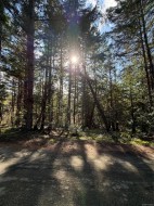 2359 Kendall Rd Nanaimo, BC V9X 1W8