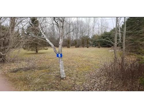 5 White Point Number 2 Road, White Point, NS 