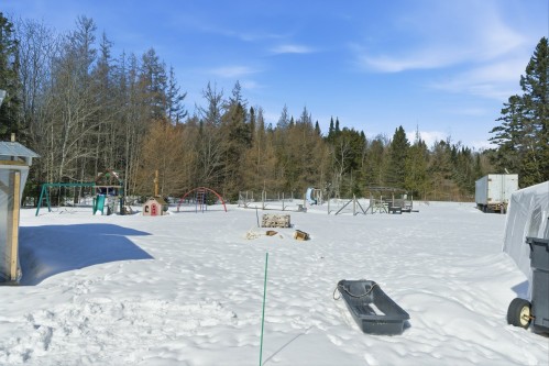 Cour - 641 Ch. David, Lac-Supérieur, QC - Outdoor