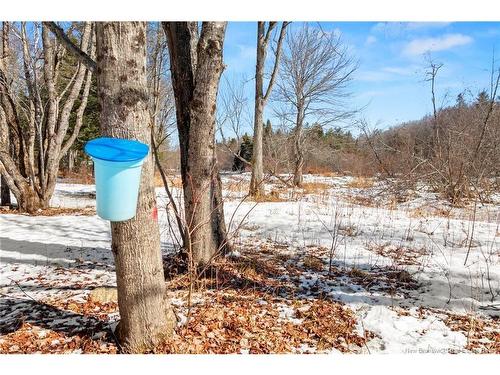 48 Tracy Rd, Minto, NB 