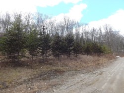 Ch. Desgroseilliers  Boileau, QC J0V 1N0