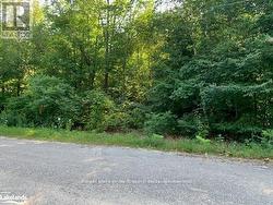 LT 60 ONEIDA CRESCENT Tiny, ON L9M 0B2