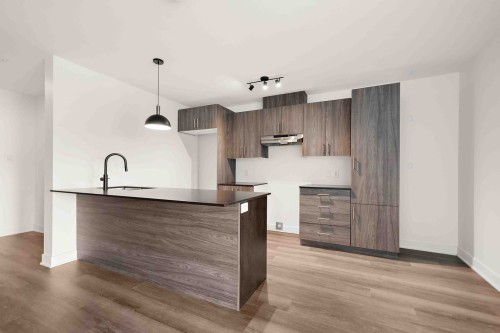 Kitchen - 202-645 Rue René-Lecavalier, Terrebonne (Terrebonne), QC - Indoor Photo Showing Kitchen