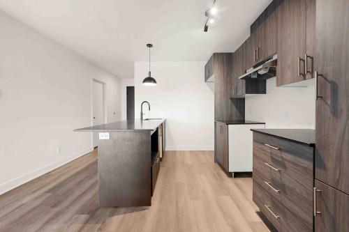 Kitchen - 202-645 Rue René-Lecavalier, Terrebonne (Terrebonne), QC - Indoor Photo Showing Kitchen