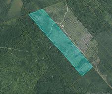 00 WOODLAND E PT GT 56 - South Napan Rd 2nd Tier Glenwood, NB E1N 4W2