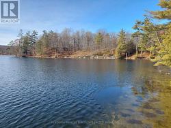 0 MURPHY'S ISLAND Leeds And The Thousand Islands, ON K0H 2N0