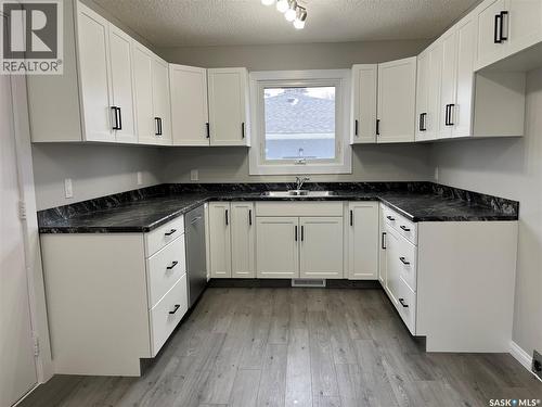 167 Magee Crescent, Regina, SK - Indoor Photo Showing Kitchen With Double Sink