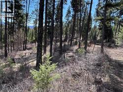 Lot 4 Hulme Creek Road Rock Creek, BC V0H 1Y0