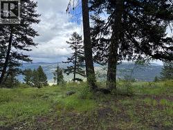 Lot 3 Hulme Creek Road Rock Creek, BC V0H 1Y0