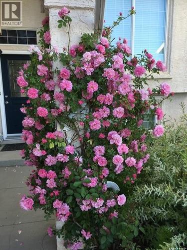 1002 Pezer Crescent, Saskatoon, SK - Outdoor